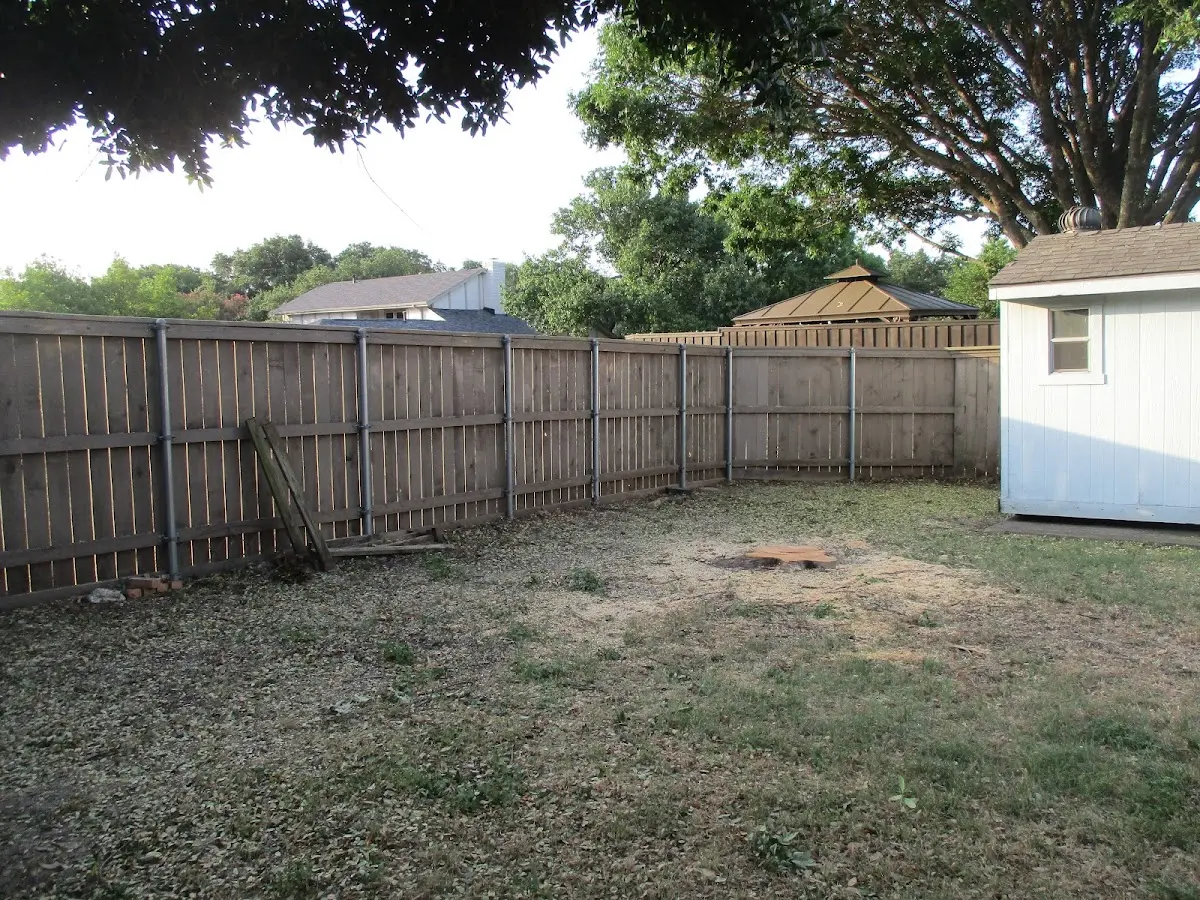 Cleared yard after professional tree removal in De Leon Springs